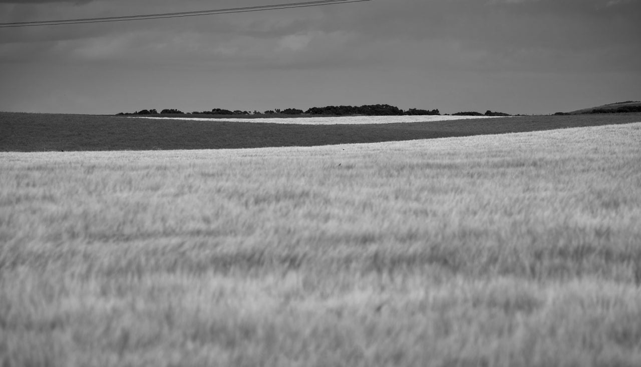 Tabart Ness fields around Portmahomack