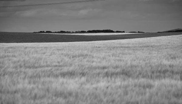Tabart Ness fields around Portmahomack