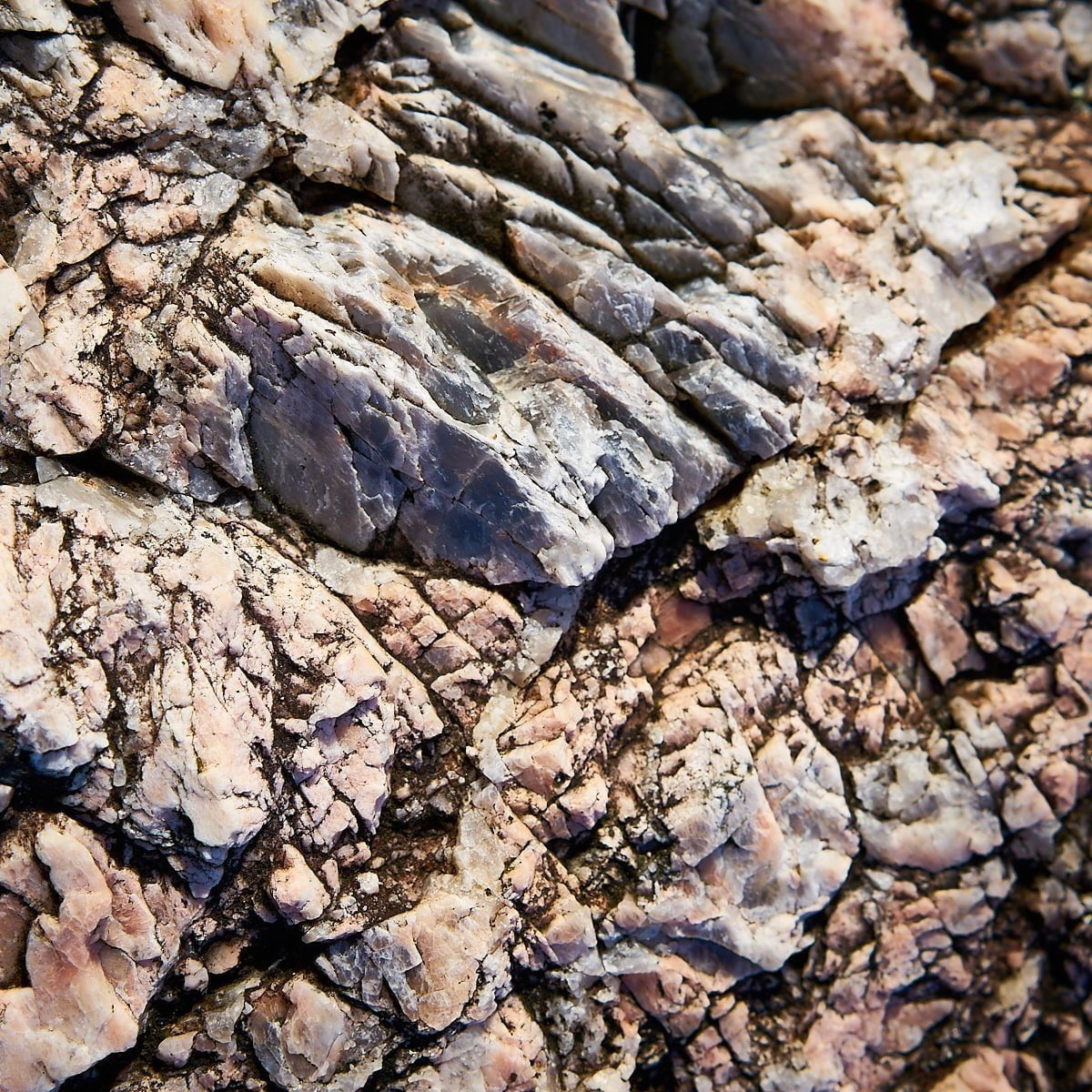 Blade, Rock and Bows photographed on Harris